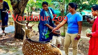 Vandalur Zoo [upl. by Nysila222]