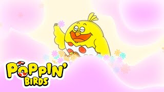 Dance of the Sugar Plum Fairy（Classical music for kids）  POPPIN BIRDS [upl. by Amieva791]