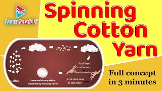 Class 6 Science Fibre to Fabrics  Spinning Cotton Yarn  CBSE  LearnFatafat [upl. by Tanner197]