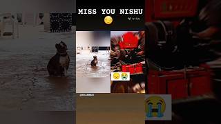 Nishu bhai ka pat mano Miss you Nishu 😔💔😭 [upl. by Llorrac]