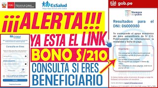 BONO 210 LINK OFICIAL  CONSULTA SI ERES BENEFICIARIO  ESSALUD [upl. by Hairaza]