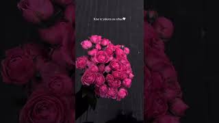 Faida Ni Dil Laun Da  aesthetic  kinzamehar7869  foryouシ subscribe [upl. by Iasi848]