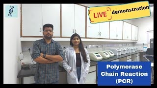 Polymerase Chain Reaction PCR Live demonstration Practical process for PCR [upl. by Yul993]