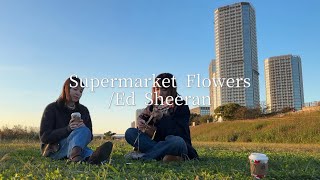 Supermarket FlowersEd Sheeran cover [upl. by Finnegan]