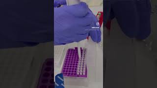 Dijital PCR deneyimi 🧬🤩 dPCR qiagen [upl. by Niwdla]