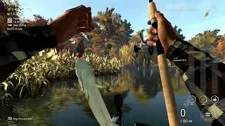 Fishing Planet  Emerald Lake  Grass Pickerel Trophy [upl. by Jobe]