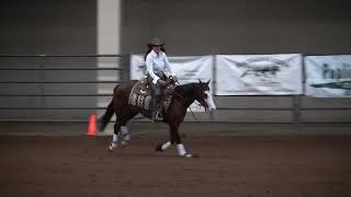 Collette Ashcroft riding HF MLB Groupie IRHA NP Futurity Champion Aug 2024 [upl. by Cordula]