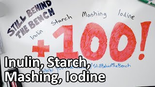 Ep 016  Inulin Starch Mashing and the Iodine Test [upl. by Jessen724]