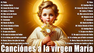 Los 10 Mejores Cantos A La Virgen Maria ✨ La Canción Católica Mas Hermosa Del Mundo [upl. by Philana]