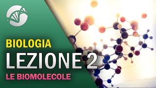 BIOLOGIA  Lezione 2  Le Biomolecole [upl. by Aicirtak]