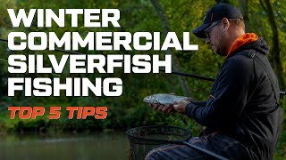 Winter Commercial Silverfish Fishing  Top 5 Tips  Adam Richards [upl. by Surat776]