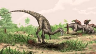 Worlds Oldest Known Dinosaur Identified [upl. by Frasch72]