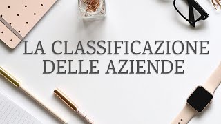 La Classificazione delle Aziende ed il loro Processo Produttivo  Economia Aziendale per tutti [upl. by Otrebla]