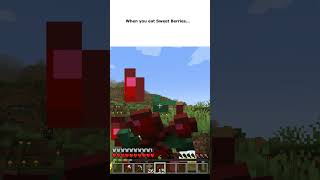 When you eat Sweet Berries minecraft meme [upl. by Hazelton]