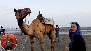 Bandar Abbas City Tour  Iran 2019 [upl. by Ardnassak]