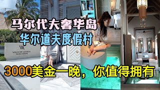 马尔代夫水上屋 3000美元一晚值吗？ 开箱 Hilton 旗下 顶级品牌 华尔道夫 Waldorf Astoria Maldives 奢华岛——Overwater Villa With Pool [upl. by Melton829]