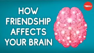 How friendship affects your brain  Shannon Odell [upl. by Ailahk71]