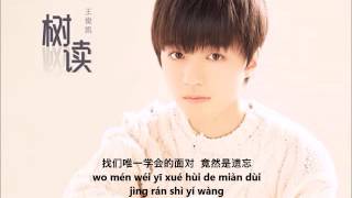 王俊凯 Karry Wang New Single 树读 Shù Dú  Ode to A Tree  Tree’s Story  Chinese  Eng Sub  Pinyin [upl. by Notsirhc379]