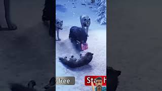 Save the poor sled Dogs funny comedy viralvideo shorts [upl. by Samtsirhc]