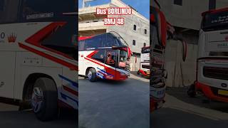 BMJ 48 BORLINDO bussulawesi borlindo parewaofficial bismalam [upl. by Corrie]