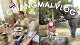 Thailand Vlog First Two Weeks in Chiang Mai 🇹🇭 [upl. by Pincas]