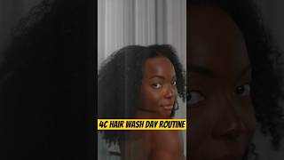 My 4C Hair Wash Day Routine with Maria Nila 🧖🏾‍♀️🫧  Coco Bassey [upl. by Zsa Zsa]