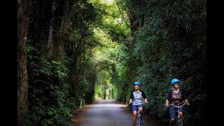 Tasmans Great Taste Trail  Ngā Haerenga Great Rides of New Zealand [upl. by Blunt]