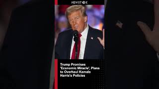 Trump Promises Economic Miracle Plans to Overha [upl. by Nesrac]