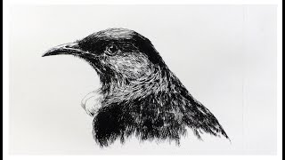 How to make a bird etching [upl. by Streetman]