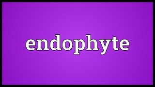 Endophyte Meaning [upl. by Nikral]