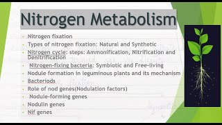 Nitrogen MetabolismBiological Nitrogen FixationNodule formationBacteriodnod and nif genesNotes [upl. by Meridith]