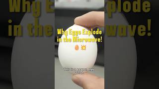 Why Eggs Explode in the Microwave 🥚💥 sciencefacts [upl. by Socher]