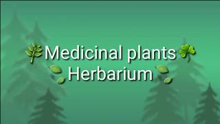 Herbarium of Medicinal Plants of Nepal [upl. by Hewes]