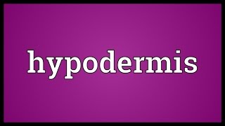 Hypodermis Meaning [upl. by Acemahs]