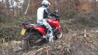 BMW F650 in the forestwmv [upl. by Garlan]