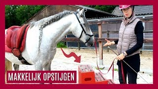 PAARD LEREN INPARKEREN  MAKKELIJK OPSTIJGEN  snuitable [upl. by Leba]