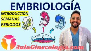 EMBRIOLOGÍA DE LA CONCEPCIÓN AL🤰🏻 NACIMIENTO🚼 Con FRANCO KELLY  Ginecología y Obstetricia [upl. by Atilrac]