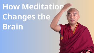 How Meditation Changes the Brain with Yongey Mingyur Rinpoche [upl. by Nalhsa511]