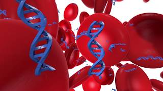 The Power of Blood  Transforming Cancer Care with Liquid Biopsy [upl. by Evadne99]