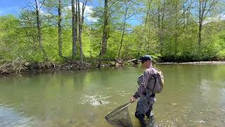 Dry Dropper Fly Fishing First Fork Sinnemahoning River [upl. by Atla132]