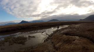 Stikine River Alaska Duck Hunt Oct 2013 [upl. by Sayre]