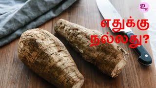 ஆரா ரூட் நன்மைகள்  Arrowroot benefits in Tamil [upl. by Othilia]