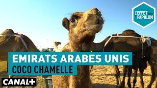 Émirats Arabes Unis  Coco chamelle  L’Effet Papillon [upl. by Hsivat]