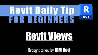 Revit Tip 4 How to Create amp Manage Views in Revit [upl. by Morice]