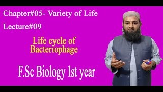 Biology Ch05Lecture09 Life cycle of bacteriophage FSc 1st Year [upl. by Waylan]