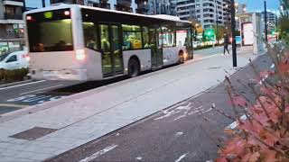 autobus de tuvisa mercedes benz citaro línea 8 unibertsitatea por la avenida gasteiz [upl. by Ttayw]