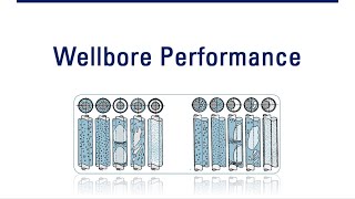 PE Nodal Analysis  Wellbore Performance [upl. by Berliner841]