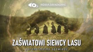 Zaświatowi siewcy lasu  Mówią Świadkowie  Odc 64 [upl. by Charmian]