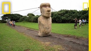 Scientists Make Easter Island Statue Walk  National Geographic [upl. by Albertine37]