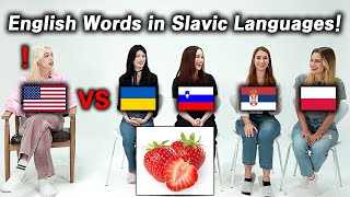 American was Shocked by Word Differences of Slavic Languages Poland Ukraine Serbia Slovenia [upl. by Nomahs177]